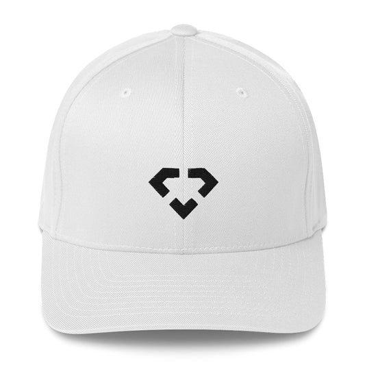 Classic CJ branded ChainsNFT Flexfit Cap - Black Logo